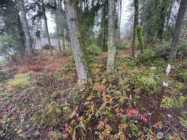 0 E Tall Timber Lane, Shelton, WA 98584