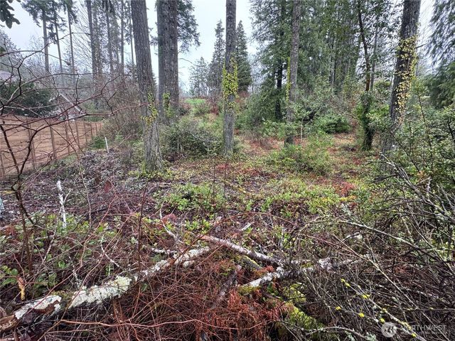 0 E Tall Timber Lane, Shelton, WA 98584