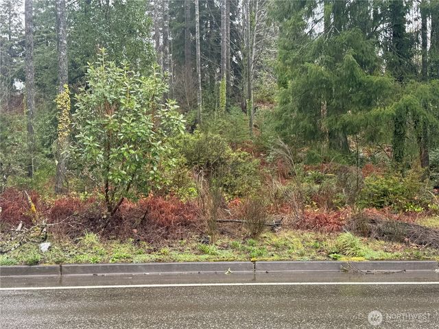 0 E Tall Timber Lane, Shelton, WA 98584