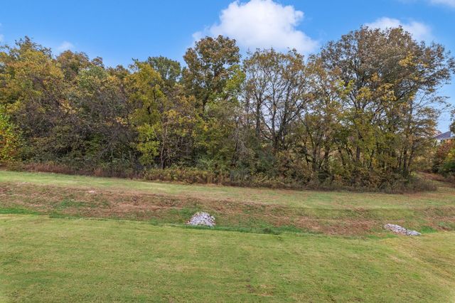 816 Novalis St, Nolensville, TN 37135