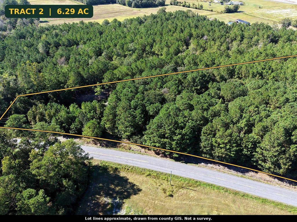 TBD N Nichols Hwy., Nichols, SC 29581 — photo 2
