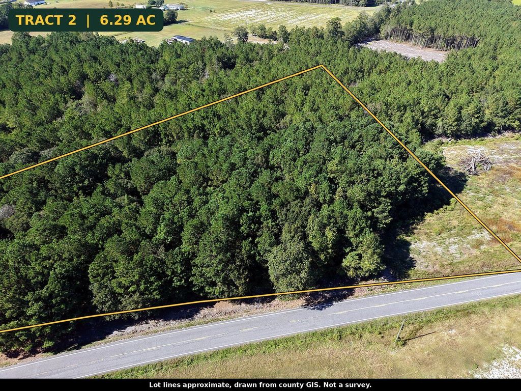 TBD N Nichols Hwy., Nichols, SC 29581 — photo 3