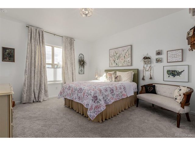 11853 Zebra Grass Way, Parker, CO 80138