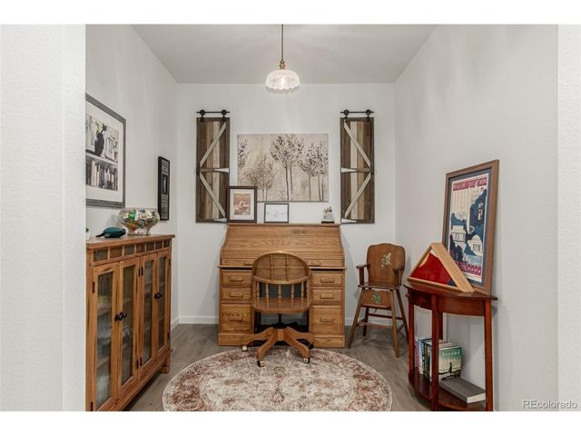 11853 Zebra Grass Way, Parker, CO 80138