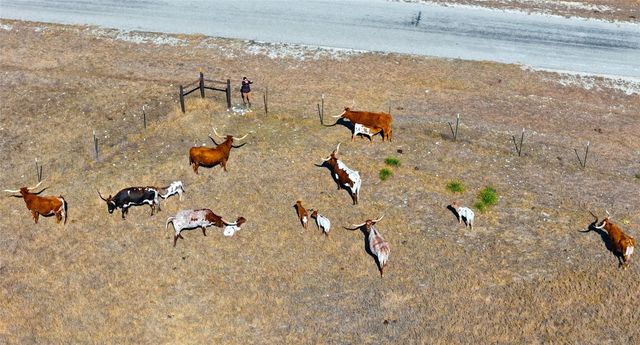 TBD Lipan Apache RUN, Blanco, TX 78606