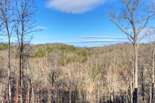 315 River Retreat Road, Blue Ridge, GA 30513