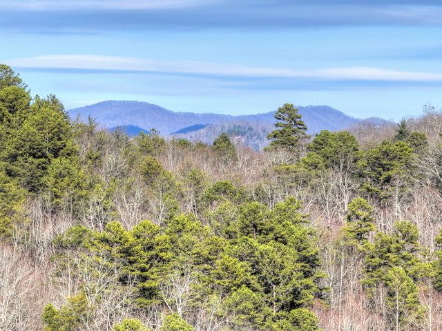 315 River Retreat Road, Blue Ridge, GA 30513