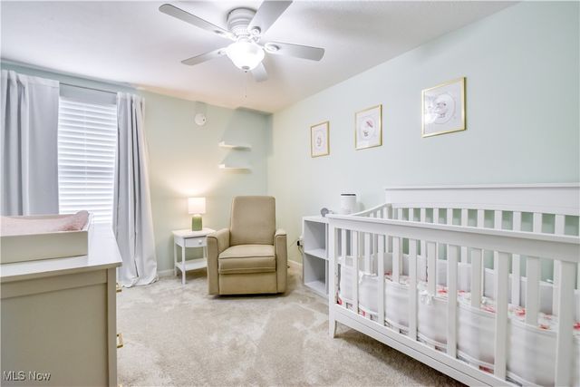 19520 Harsax Avenue, Cleveland, OH 44135