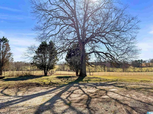 80 COUNTY ROAD 624, Ranburne, AL 36273