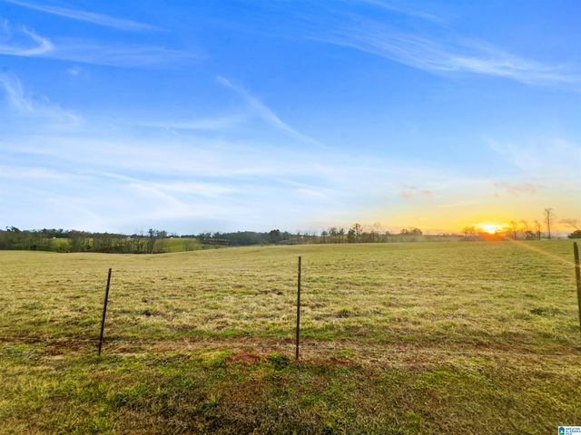 80 COUNTY ROAD 624, Ranburne, AL 36273