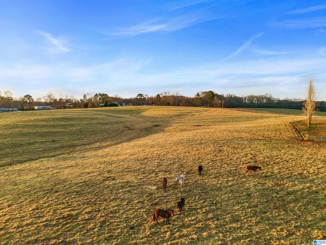 80 COUNTY ROAD 624, Ranburne, AL 36273