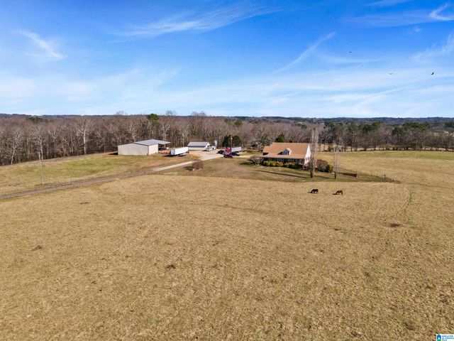 80 COUNTY ROAD 624, Ranburne, AL 36273