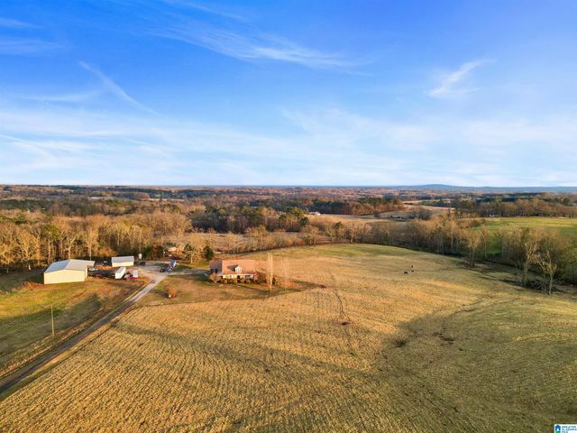 80 COUNTY ROAD 624, Ranburne, AL 36273