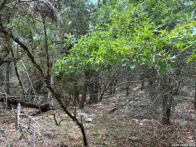 1268 Overbrook Lane, Spring Branch, TX 78070