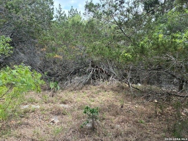 1268 Overbrook Lane, Spring Branch, TX 78070
