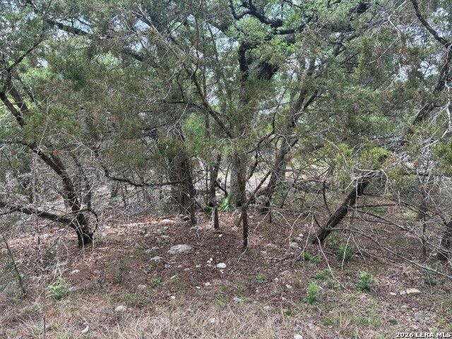 1268 Overbrook Lane, Spring Branch, TX 78070