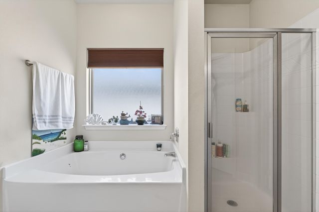 864 Cocobolo Dr, Santa Rosa Beach, FL 32459