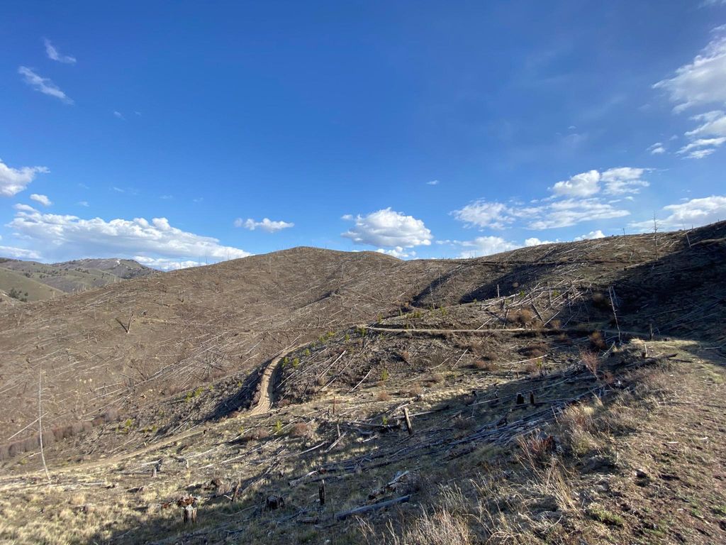 Tbd Hwy 93 S, Conner, MT 59827 photo 10