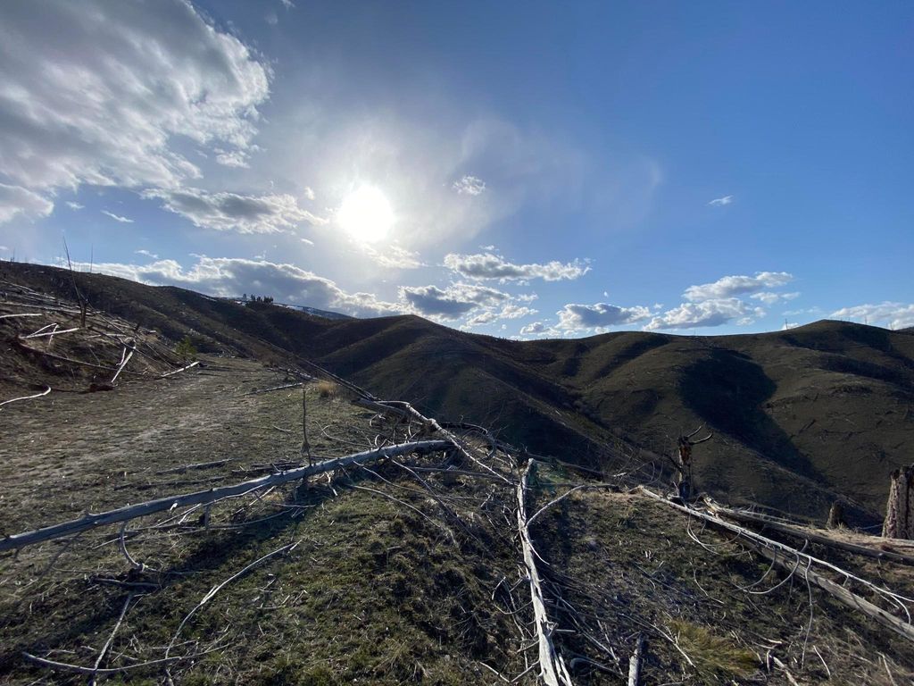 Tbd Hwy 93 S, Conner, MT 59827 photo 11