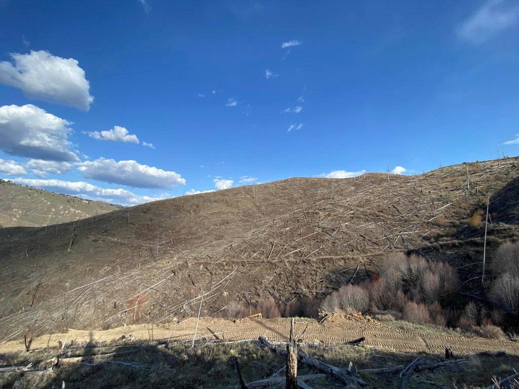 Tbd Hwy 93 S, Conner, MT 59827 photo 12