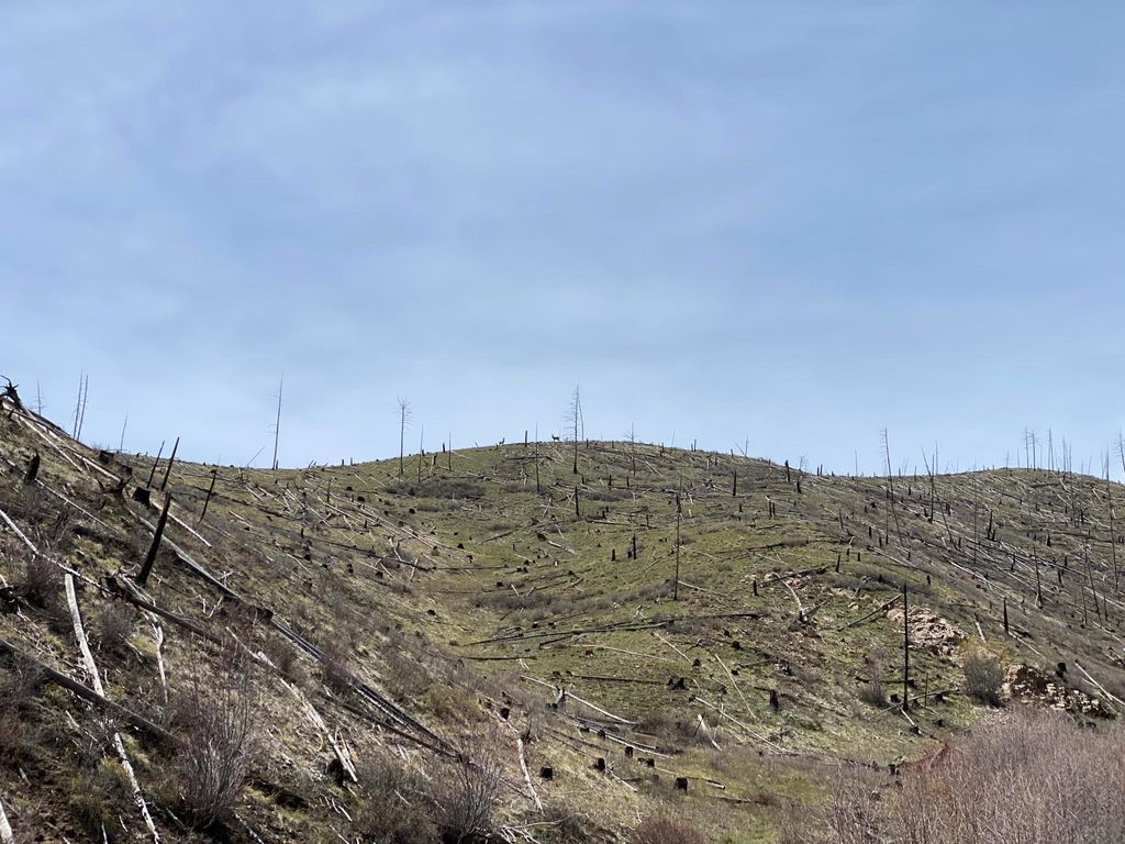 Tbd Hwy 93 S, Conner, MT 59827 photo 15