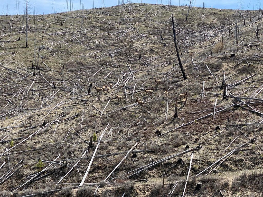 Tbd Hwy 93 S, Conner, MT 59827 photo 7