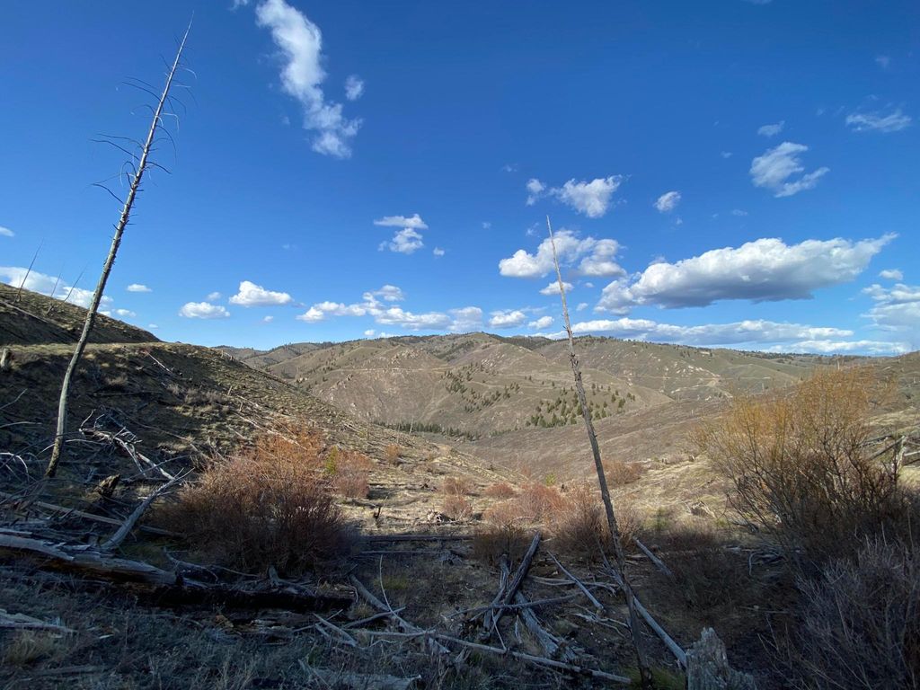 Tbd Hwy 93 S, Conner, MT 59827 photo 8