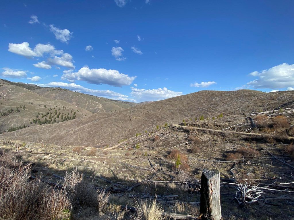 Tbd Hwy 93 S, Conner, MT 59827 photo 9