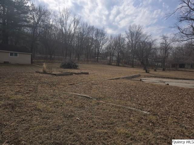 670 E 1st Street, Dallas City, IL 62330