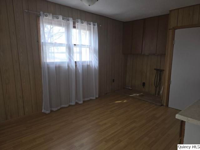 670 E 1st Street, Dallas City, IL 62330