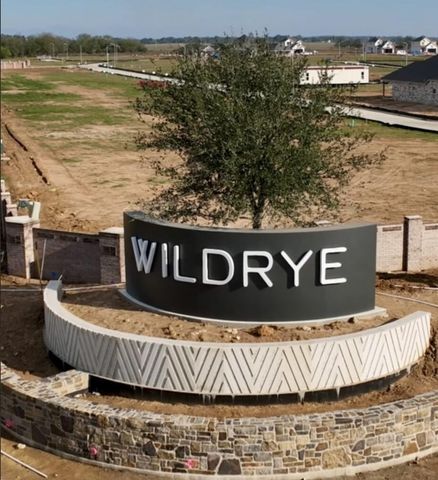 30815 Swift Hill Lane, Waller, TX 77484