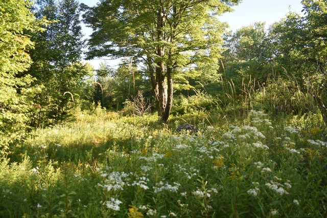 1982 robtoy Road, Lowell, VT 05847