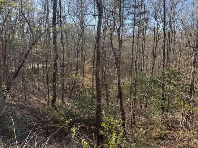 00 Robin Rd & Wren Lane, Murphy, NC 28906