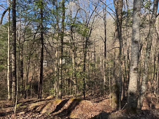 00 Robin Rd & Wren Lane, Murphy, NC 28906