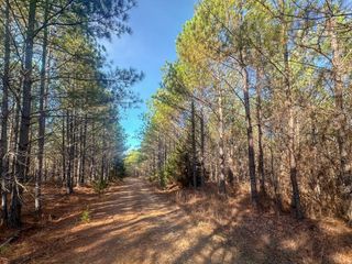 0 Indian Creek Rd, Hohenwald, TN 38462