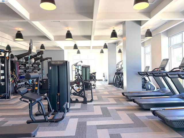 3698 Vision Cmn 314, Fremont, CA 94538