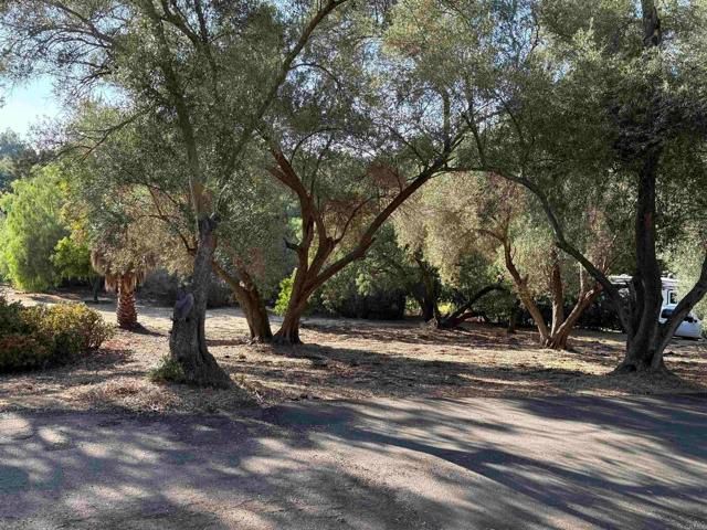 13838 Campo Road 8, Jamul, CA 91935