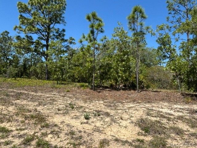2888 W Lambert Drive, Dunnellon, FL 34433