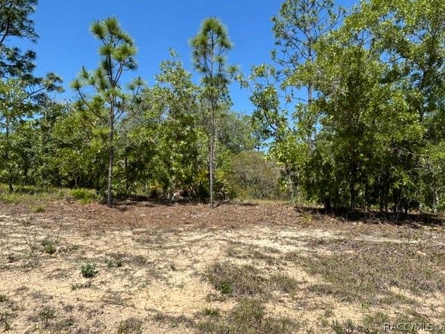 2888 W Lambert Drive, Dunnellon, FL 34433