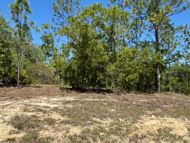 2888 W Lambert Drive, Dunnellon, FL 34433