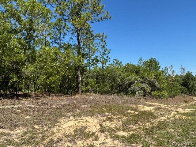 2888 W Lambert Drive, Dunnellon, FL 34433