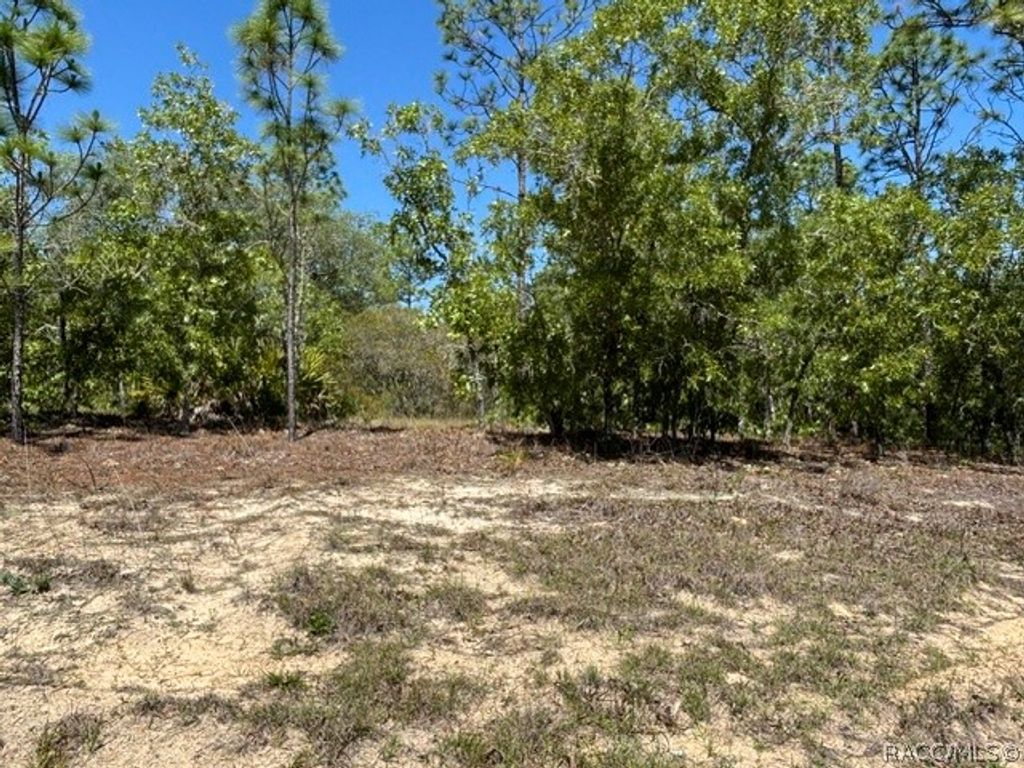 2888 W Lambert Drive, Dunnellon, FL 34433