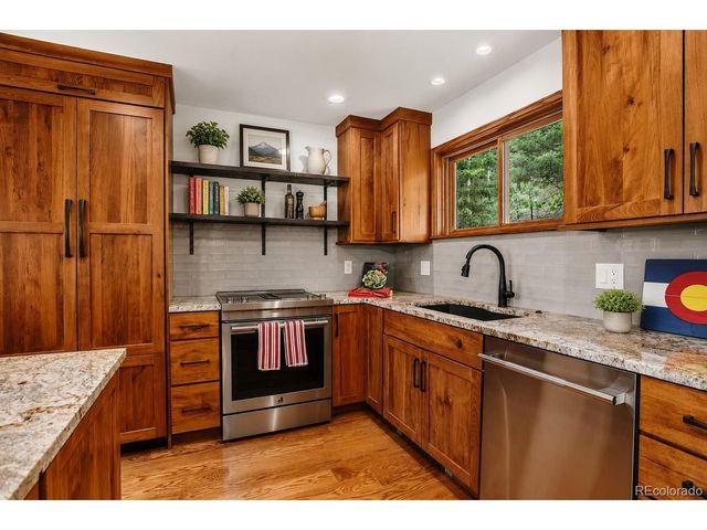 13338 Elsie Rd, Conifer, CO 80433