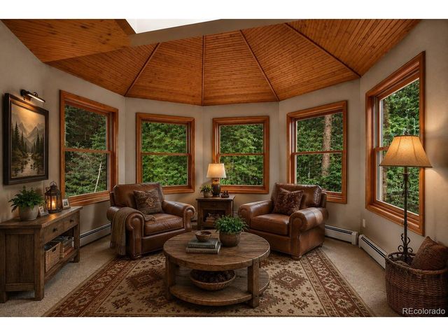 13338 Elsie Rd, Conifer, CO 80433