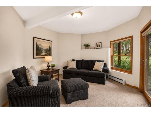 13338 Elsie Rd, Conifer, CO 80433