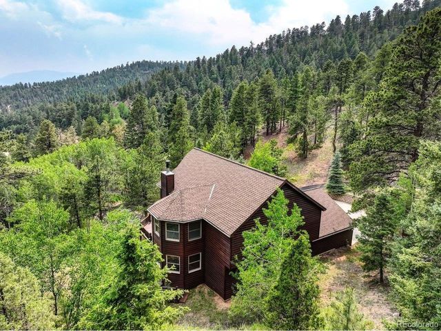 13338 Elsie Rd, Conifer, CO 80433