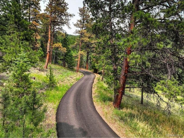 13338 Elsie Rd, Conifer, CO 80433