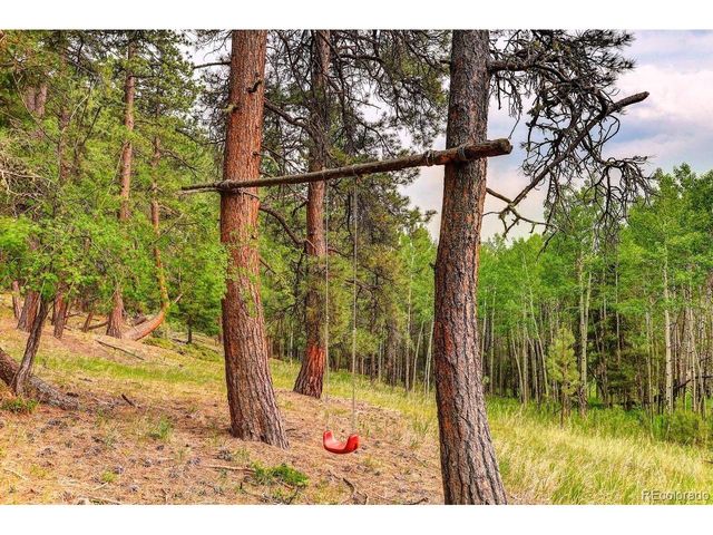 13338 Elsie Rd, Conifer, CO 80433