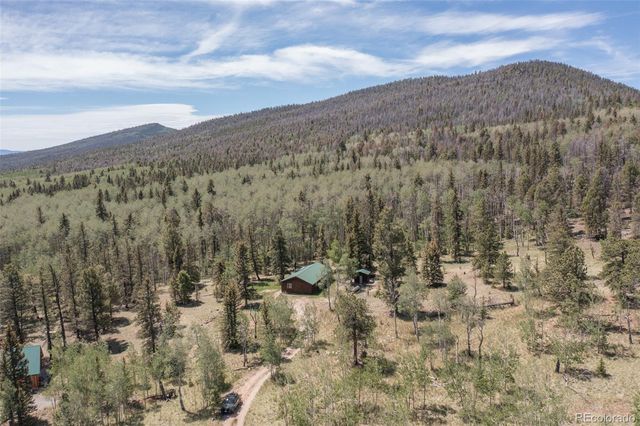 115 Mushroom Court, Buena Vista, CO 81211