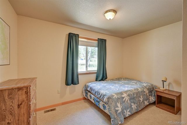 115 Mushroom Court, Buena Vista, CO 81211